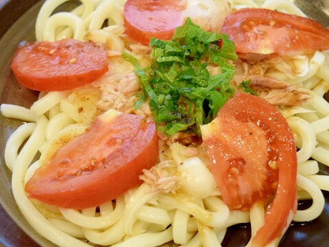 シンプルでもコク旨☆サラダうどん